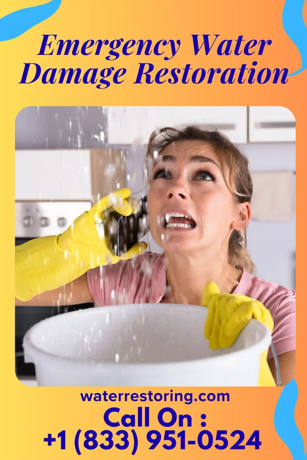 Emergency Water Damage Restoration in Taylor, WI